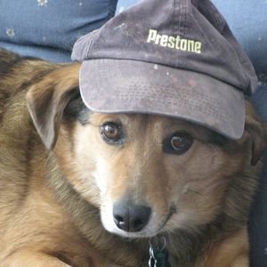 Meet your Posher, Maria